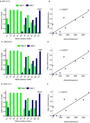 Sequence Characterization of <mark class="highlighted">DSG3</mark> Gene to Know Its Role in High-Altitude Hypoxia Adaptation in the Chinese Cashmere Goat